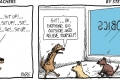 dog aerobics