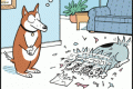 dog cards