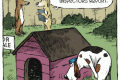 dog house