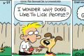dog licks
