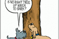 dog philosophy