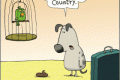 dog poop