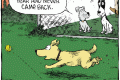 dog school