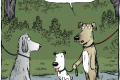 dog subleashing