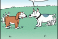 dog tail sprain