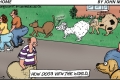 dog-view-world
