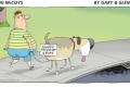 dog walk