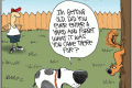 old dog