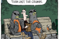 NY pigeons