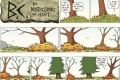 bc fall