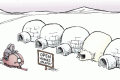 bear homes