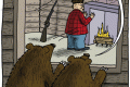bearskin