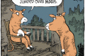 cow jumped