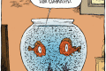 fish cremation