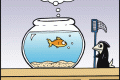 fish grim reaper